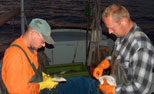 DRAGA Jastarnia - Świeże ryby z portowej smażalni